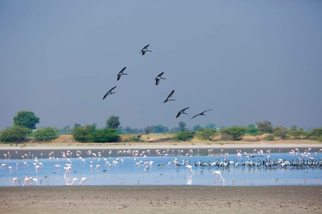 World Wetlands Day 2022