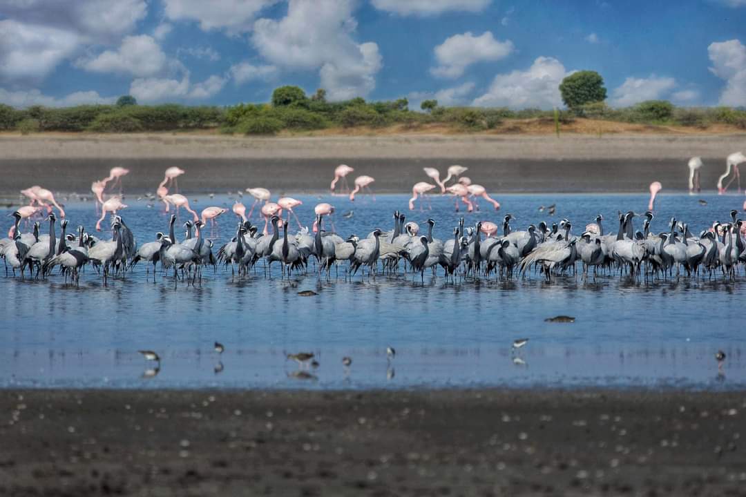 World Wetlands Day 2022